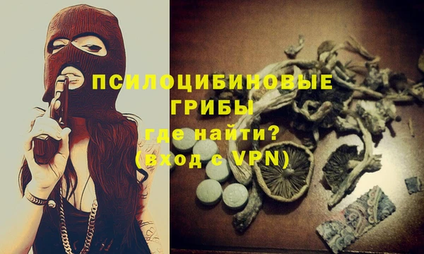 мдма Горняк