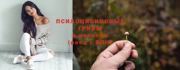 круглые Горно-Алтайск