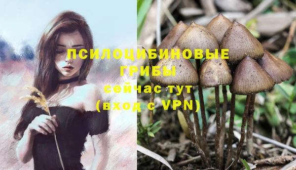 круглые Горно-Алтайск